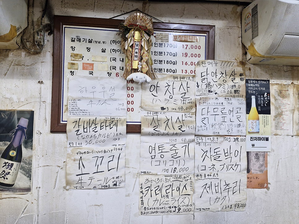 부일갈매기 사진 5
