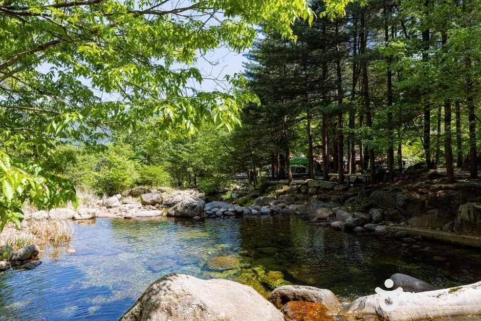 그린농원 사진 3