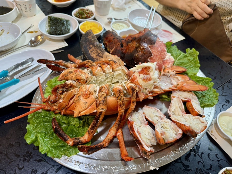 바다목장바닷가재 사진 4