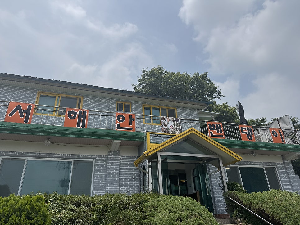 서해안밴댕이 사진 1
