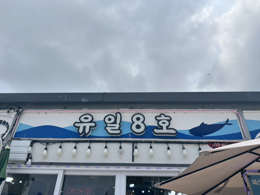 유일8호 사진 2