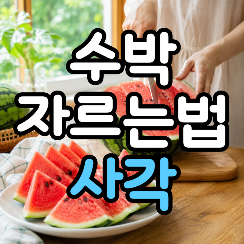 수박 자르는법 사각썰기 고르는 방법까지 여름철 실속 팁