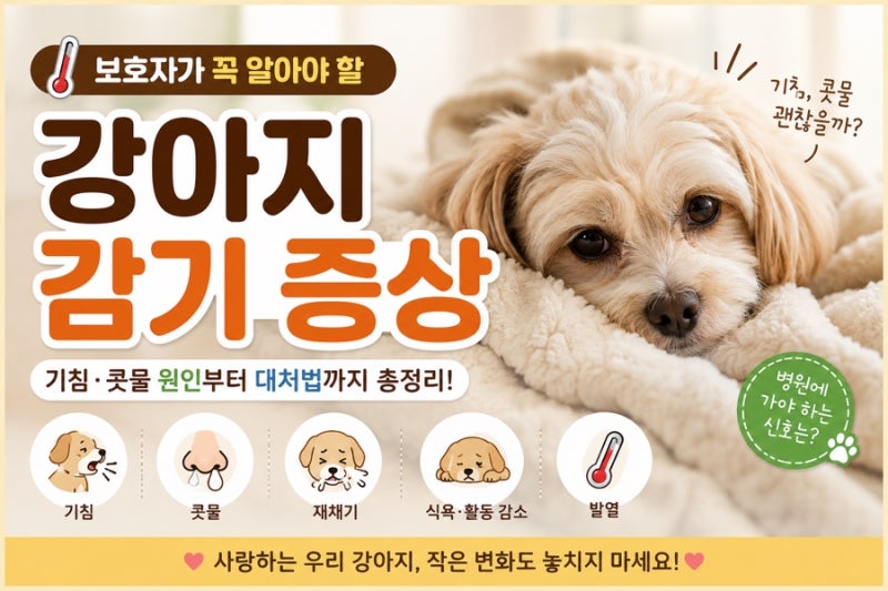강아지 감기 증상 총정리｜기침·콧물 원인부터 병원에 가야 하는 신호까지