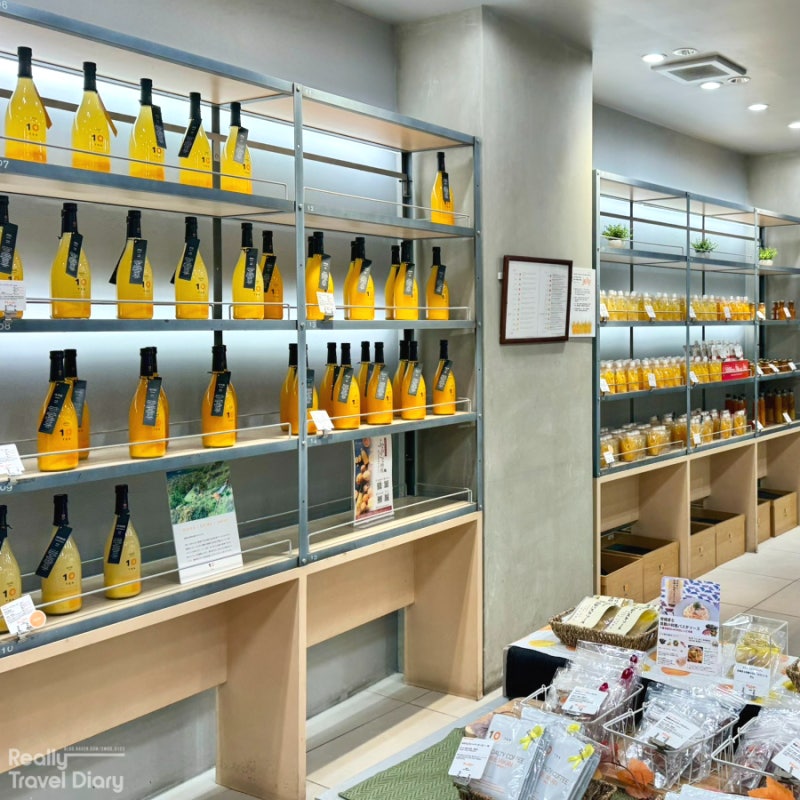 일본 소도시 직항 마쓰야마 여행 맛집 기념품 모음 도고온천 상점가 추천