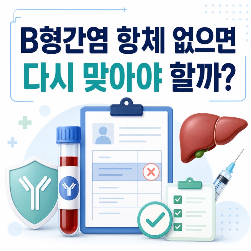 B형간염 항체 없으면 다시 맞아야 할까? 성인 예방접종 기준 정리