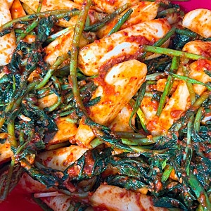 총각김치 맛있게 담그는법 알타리무 김치 레시피 알타리무 절이기 손질법