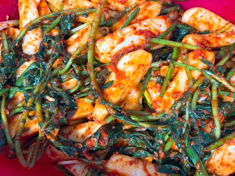 총각김치 맛있게 담그는법 알타리무 김치 레시피 알타리무 절이기 손질법