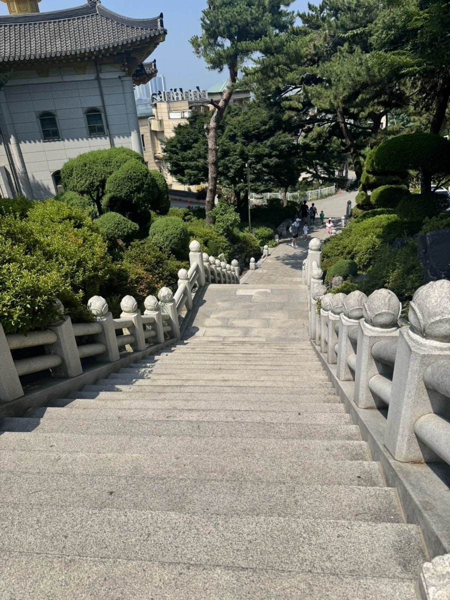 흥륜사 쉼터 사진 2