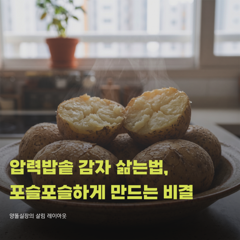 압력밥솥 감자 삶는법, 물 조절과 시간 조절로 실패 없이 포슬포슬하게 만드는 비결