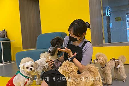 얼렁오시개 사진 2