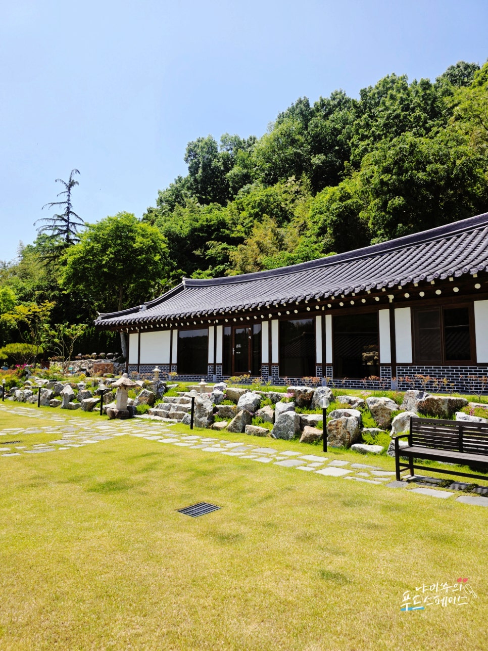 유교파스타 사진 2