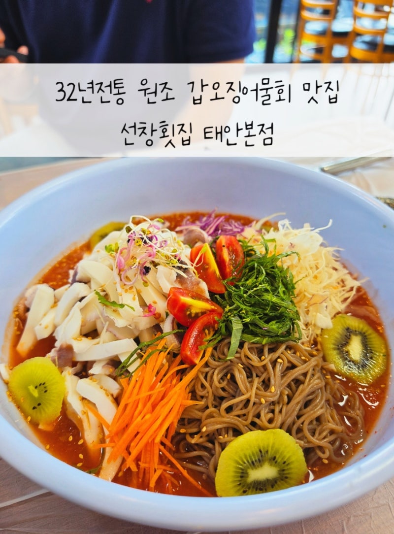 태안 현지인 맛집 청포대 마검포 근처 갑오징어물회 원조 선창횟집