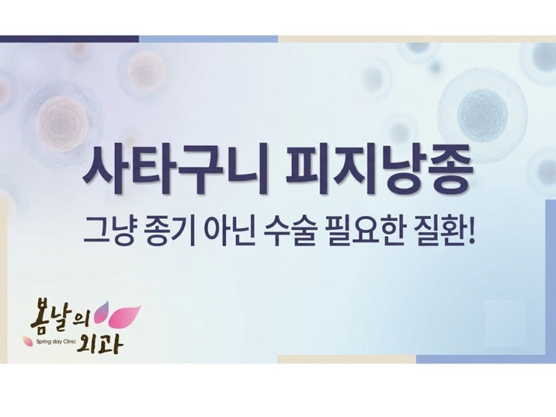 사타구니 종기, 만약 사타구니 피지낭종이라면 짜서는 안 되는 이유!