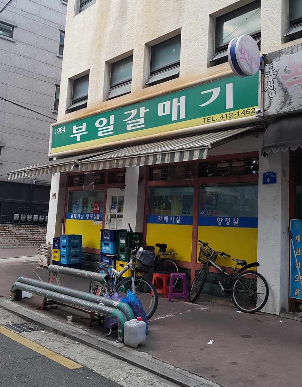 부일갈매기 사진 4
