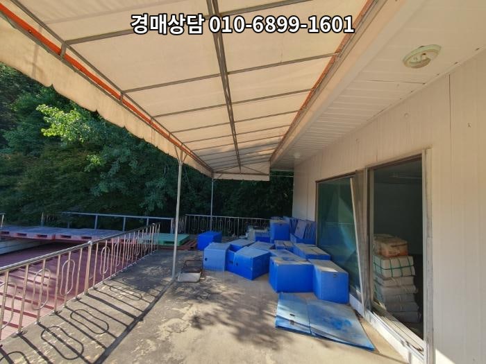 금옥 사진 6