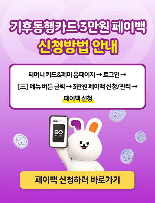 기후동행카드 3만원 페이백 환급 신청방법｜티머니 홈페이지 거주지 인증 오류 해결