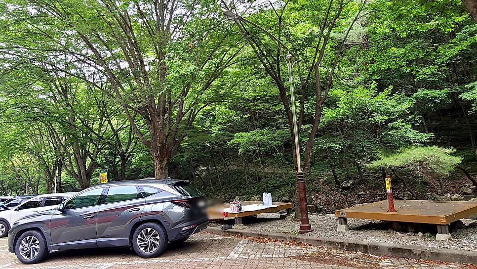 남이 자연휴양림 숲속공연장 사진 2