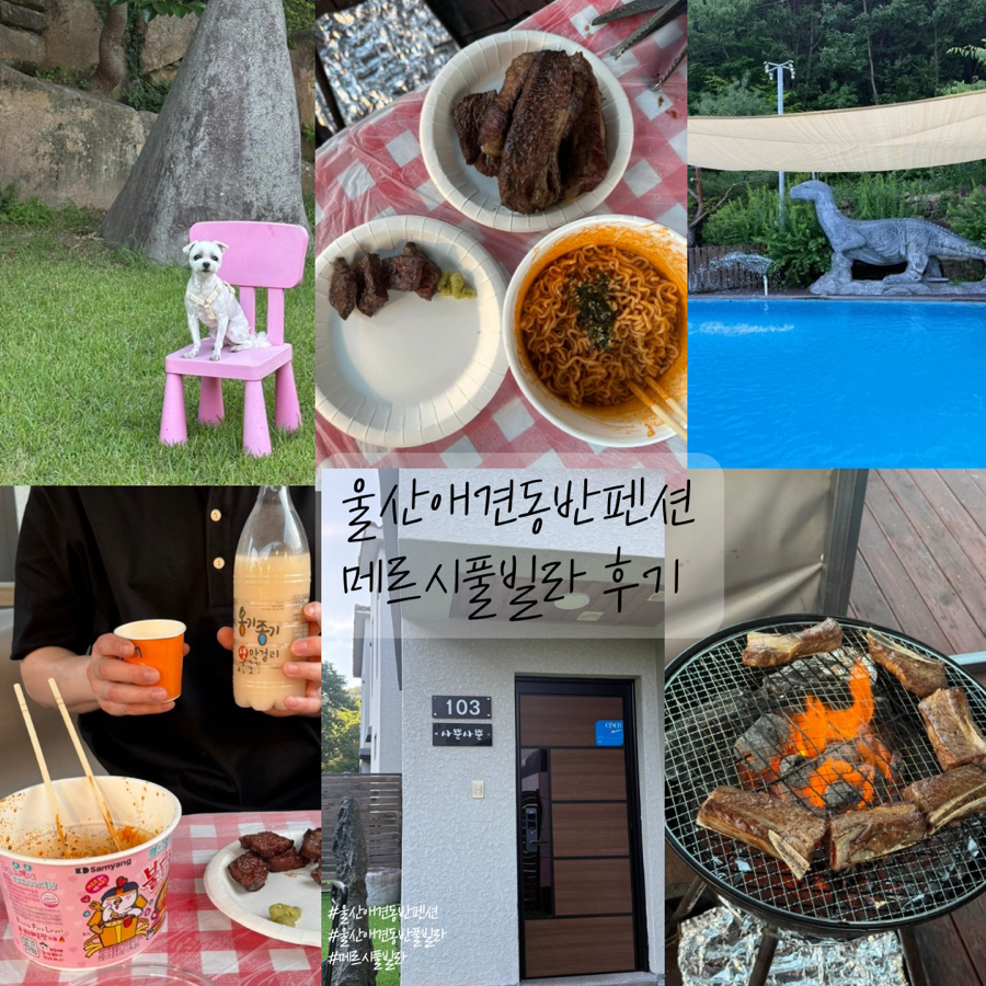 메르시풀빌라펜션 사진 1