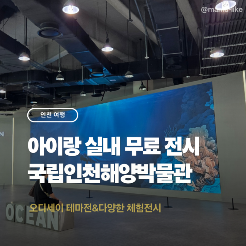인천 아이랑 가볼만한곳 국립인천해양박물관 그리스 신화 오디세이 전시!! 여름방학 월미도 ....