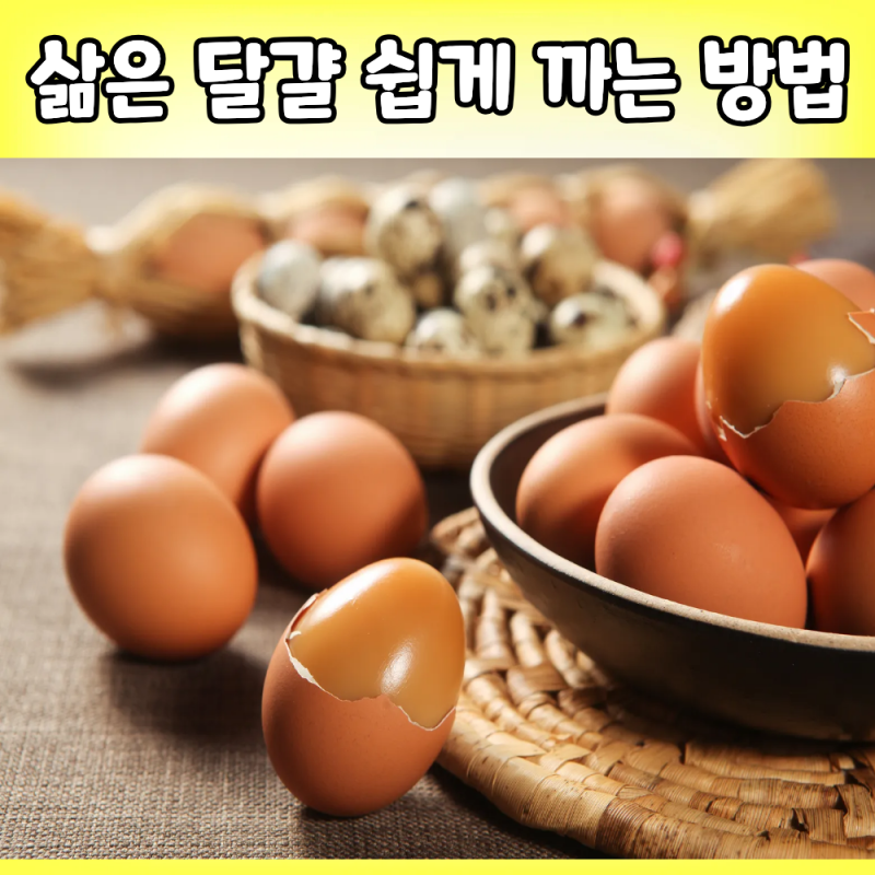 삶은 달걀 쉽게 까는 방법 계란 삶는 시간 달걀 사육환경번호