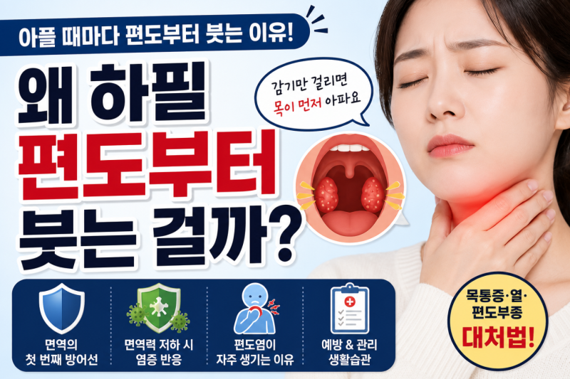 면역력이 떨어지면 편도가 붓는 이유