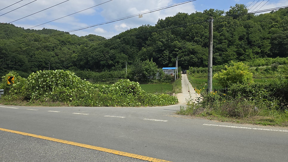 조성지 사진 1