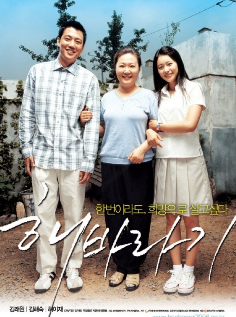 영화 해바라기 줄거리 결말, 다시 보면 더 깊게 남는 영화