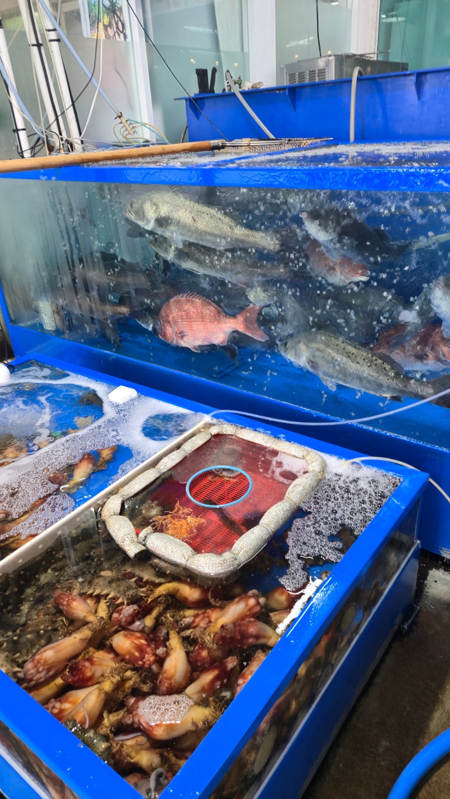 수원호 사진 5