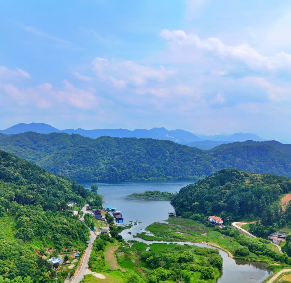 산유리120캠핑장 사진 3