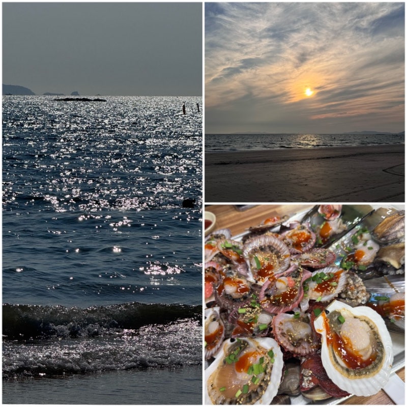 [보령]대천 찍먹여행(feat. 먹보네조개구이)
