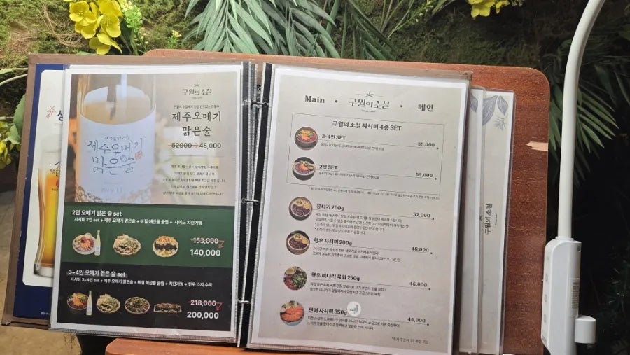 구월의 소철 사진 4