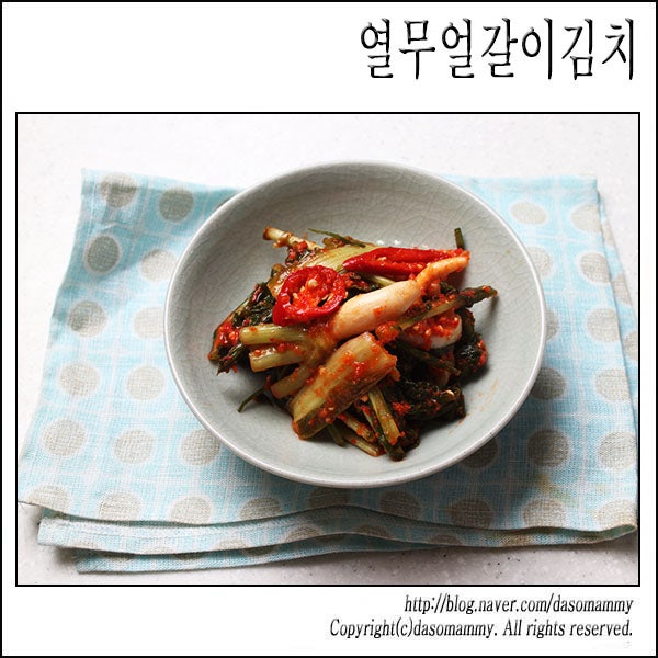 열무얼갈이김치 레시피 여름김치