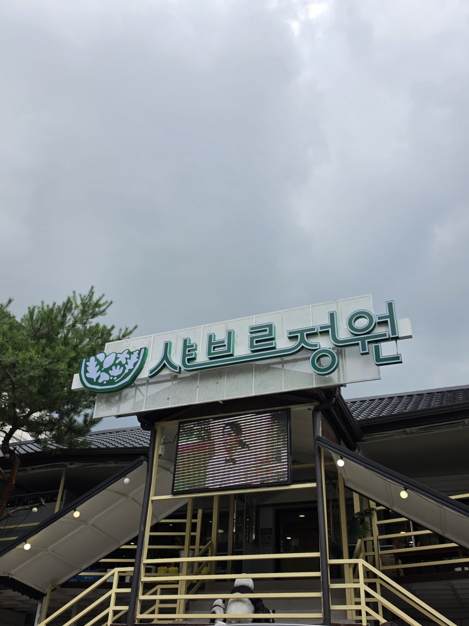 담칼국수 사진 1