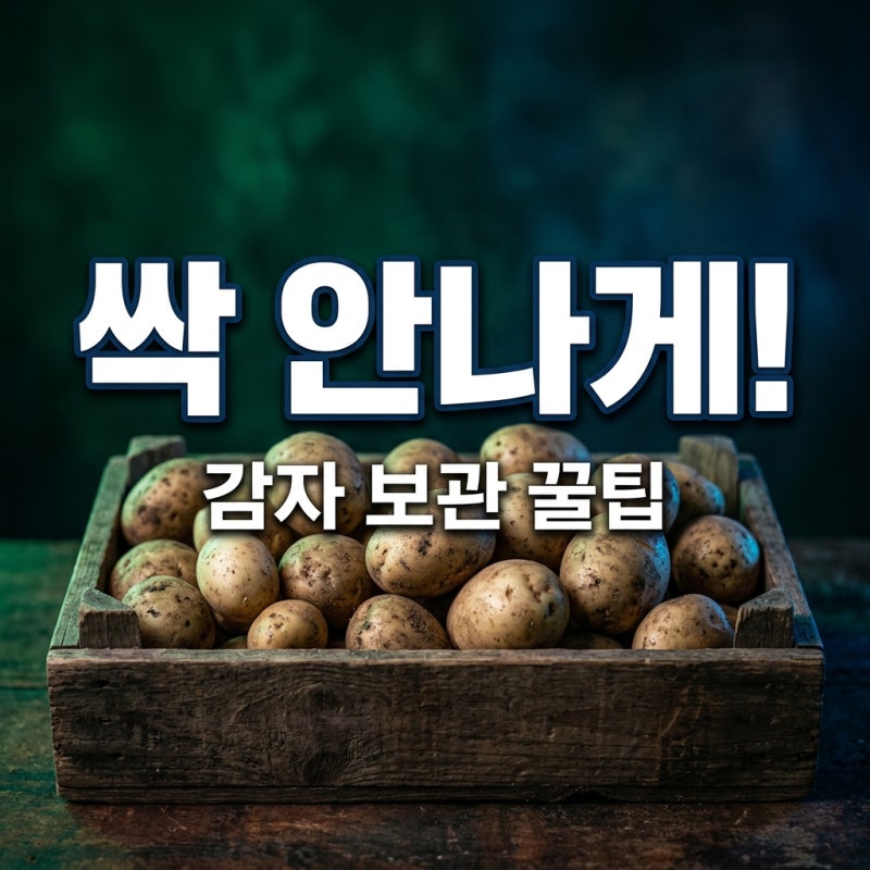 감자 보관방법 싹 안 나게 오래 보관하는 꿀팁 총정리