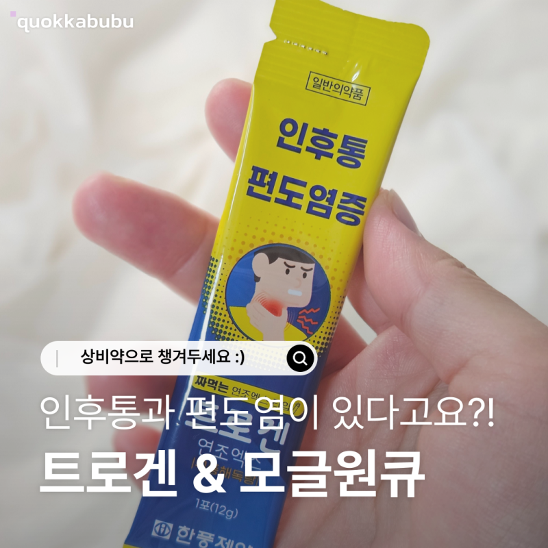 인후통, 편도염증 상비약 추천 | 트로겐과 모글원큐를 추천하는 이유