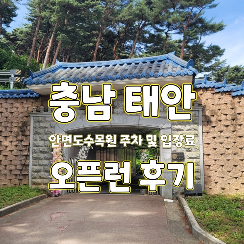 충남 ㅣ 태안 안면도 수목원 오픈런 해서 다녀온 주차 및 입장료 루트후기
