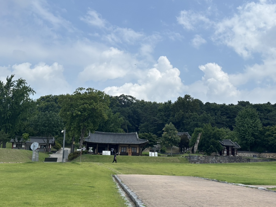 오늘도단풍 사진 5