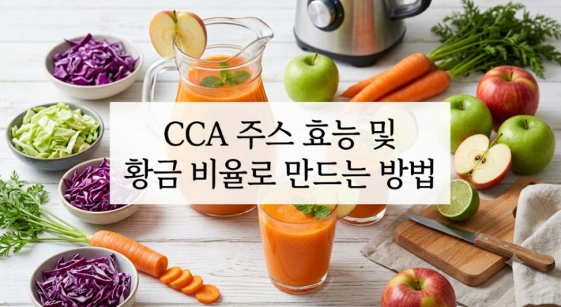 CCA 주스 효능 및 황금 비율로 만드는 방법