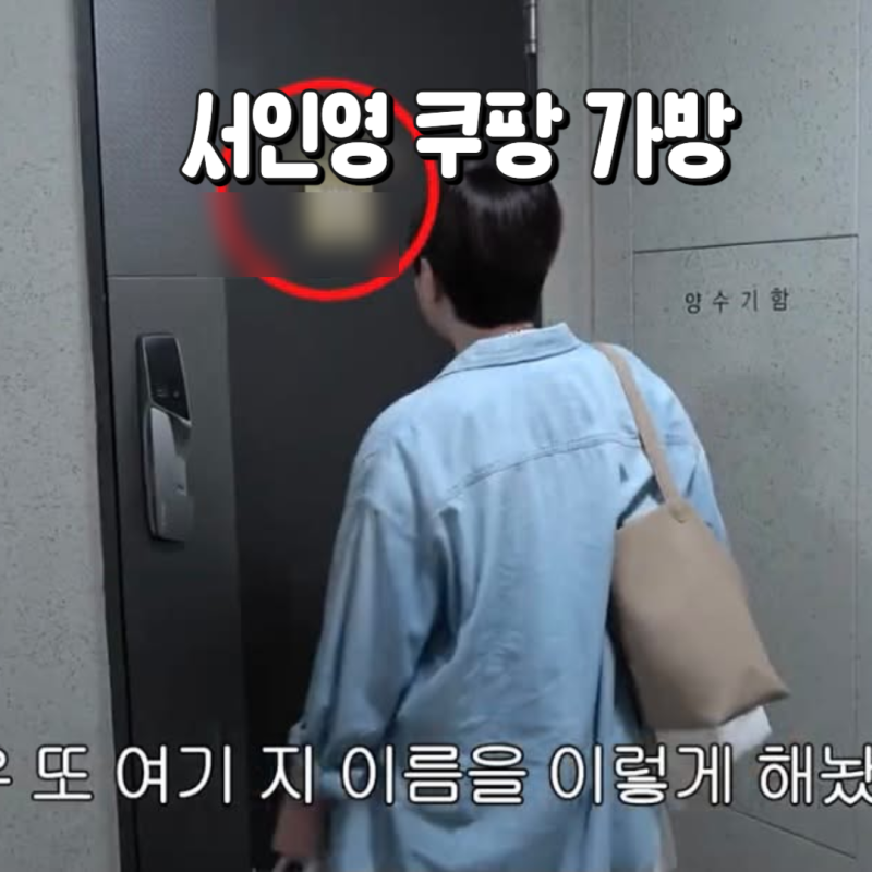서인영 쿠팡 가방 더 로우맛 8만원대, 왜 인기 품절 대란템?