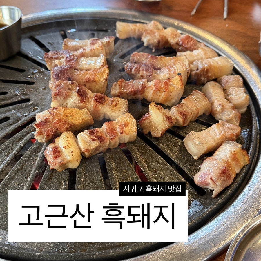 고근산흑돼지 사진 1