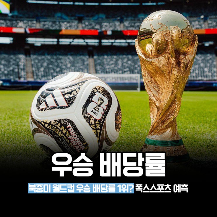"전문가들은 이렇게 예상했다" <b>월드컵</b> 우승국 배당률, <b>결승전 일정</b>