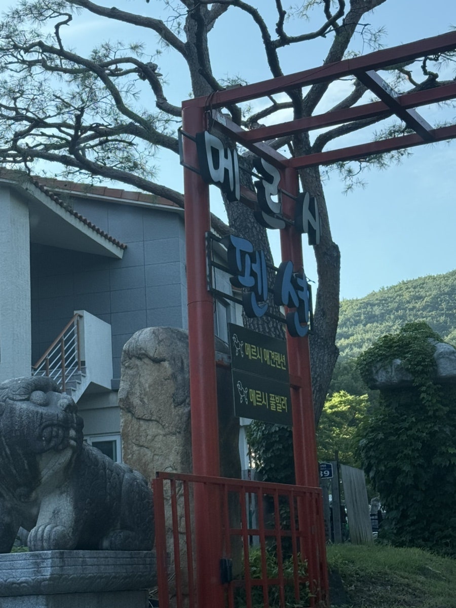 메르시풀빌라펜션 사진 4