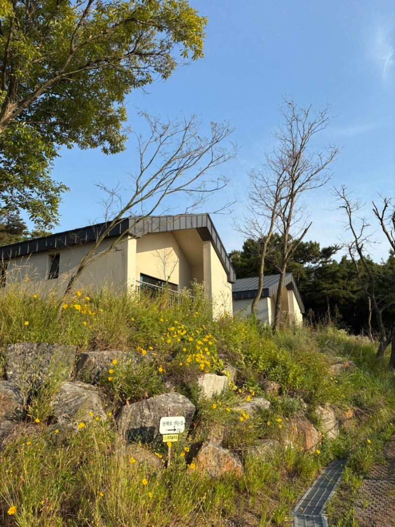 舞衣島自然休養林文甲島宿泊レビュー、眺めの良い客室のおすすめと裏技