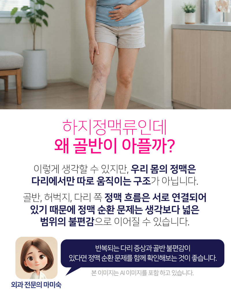 진주 하지정맥류 통증, 골반에도 발생할 수 있습니다