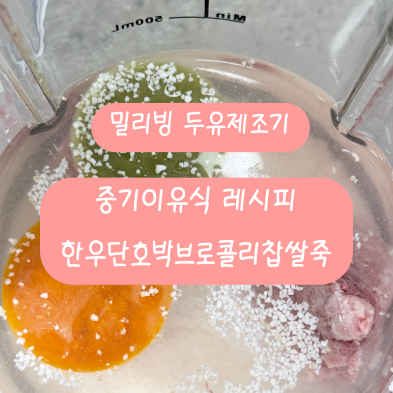 밀리빙 두유제조기 중기 이유식 레시피 소고기단호박브로콜리찹쌀죽