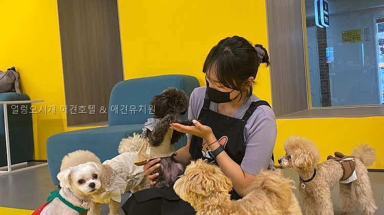 얼렁오시개 사진 1