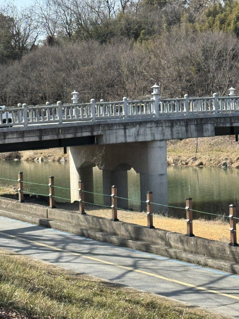 대잎손만두 사진 2