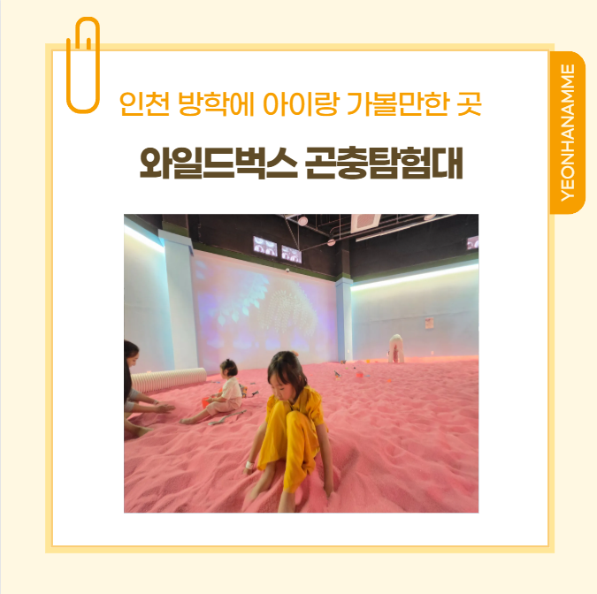인천 방학에 아이랑 가볼 만한 곳 와일드벅스 곤충 파충류 체험