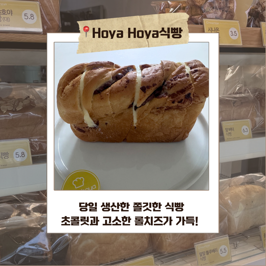호야호야 사진 1