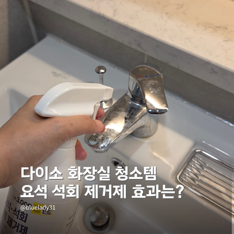 화장실 욕실 청소용품 다이소 요석 석회 제거제 사용 후기